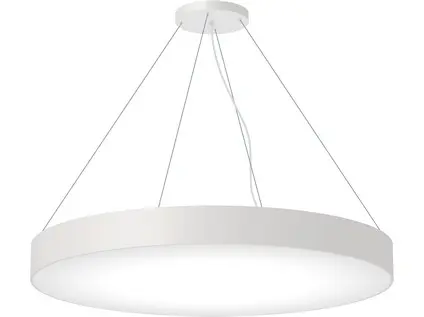 222282_PIC_ZAVES BIELY